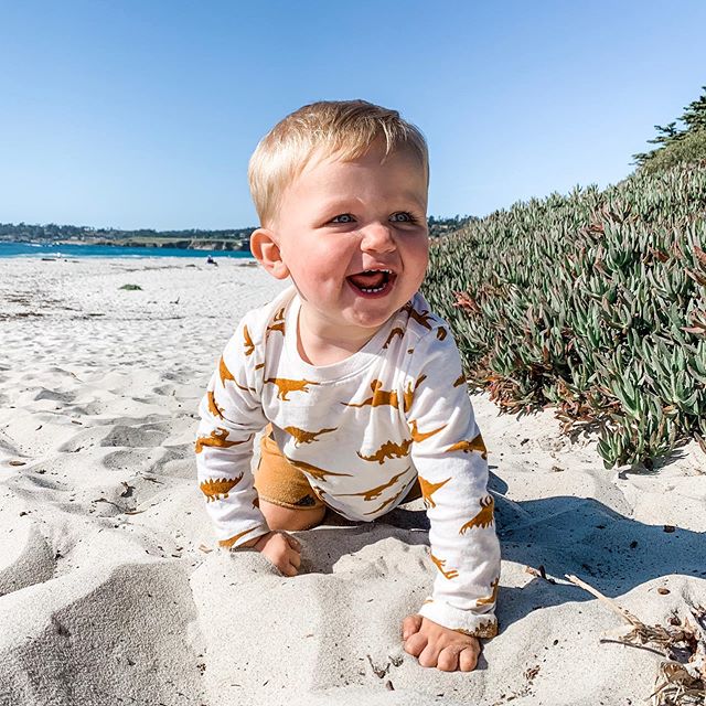 Back on his home (sand) turf and loooooving it.